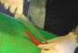 Rode peper schoonmaken